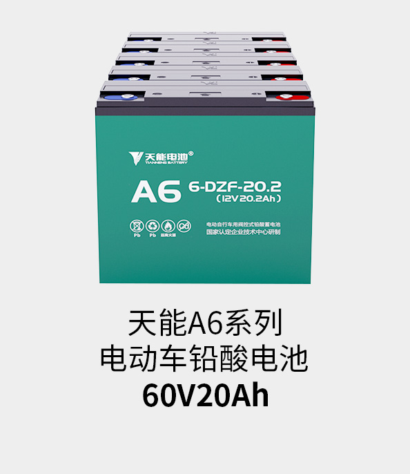 ǲ-ʱ60v20ah