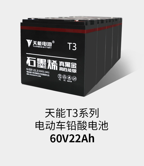 ǲ-ʱT3ϵ60v22ah